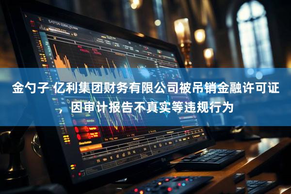 金勺子 亿利集团财务有限公司被吊销金融许可证，因审计报告不真实等违规行为