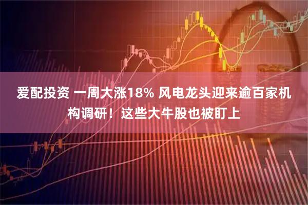 爱配投资 一周大涨18% 风电龙头迎来逾百家机构调研！这些大牛股也被盯上