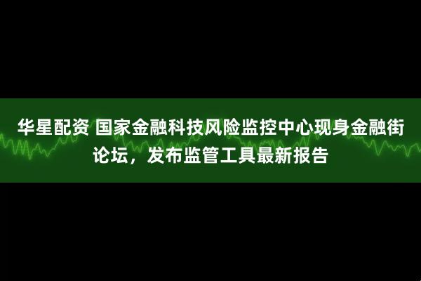 华星配资 国家金融科技风险监控中心现身金融街论坛，发布监管工具最新报告