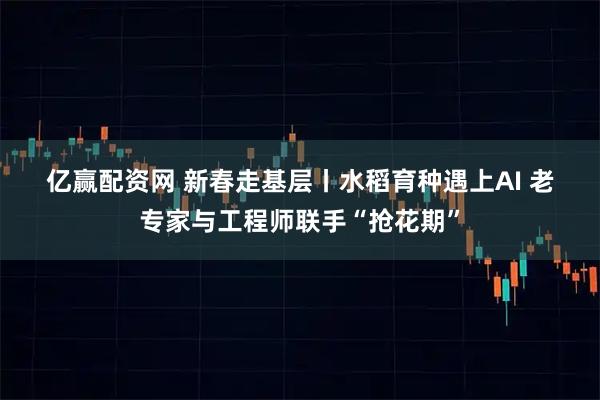 亿赢配资网 新春走基层丨水稻育种遇上AI 老专家与工程师联手“抢花期”